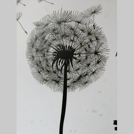 Ferienwohnung Pusteblume Mueddersheim Vettweiss מראה חיצוני תמונה